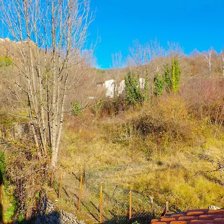 Bacivers Cote Jardin